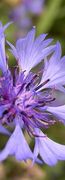 <br>
POUR SE LIBERER DURABLEMENT DES STRESS<br>

<...