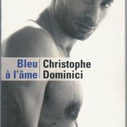 Christophe Dominici